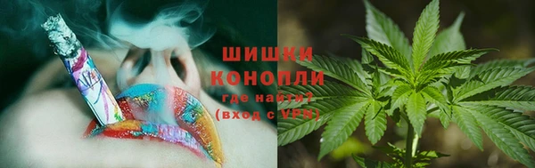 ПСИЛОЦИБИНОВЫЕ ГРИБЫ Надым