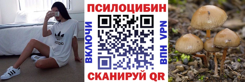 Галлюциногенные грибы Cubensis  Асбест 