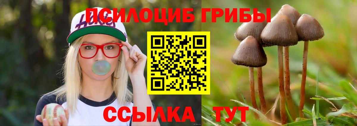 Псилоцибиновые грибы ЛСД  Вход с VPN  Асбест 